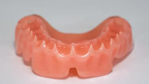 Base Gencive PMMA P1